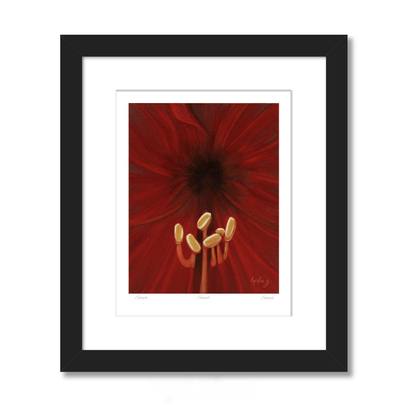 Limited Edition: Dreamy Red